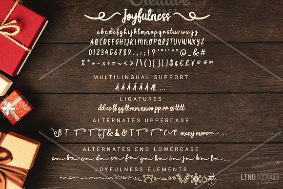 Joyfulness Script Font with Extras in Script Fonts - product preview 7