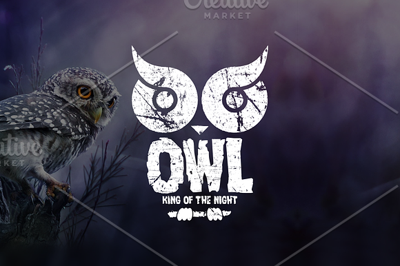 Owl king of the night T-Shirt Design in Illustrations - product preview 4