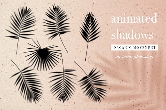 Animated Organic Palm Leaf Shadow in Product Mockups - product preview 1