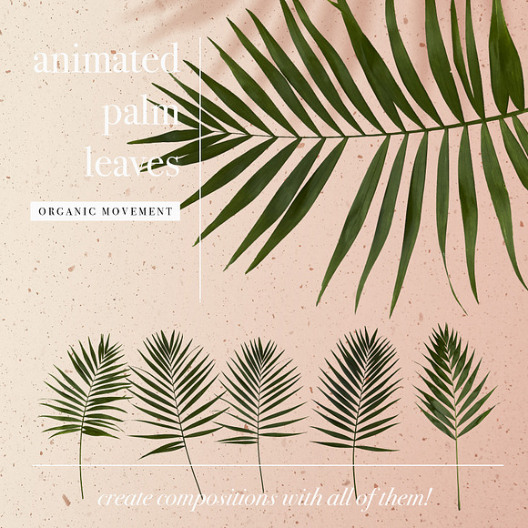 Animated Organic Palm Leaf Shadow in Product Mockups - product preview 2