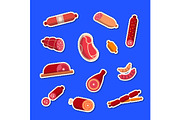 Vector flat meat and sausages icons