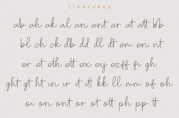 Badtaste - Elegant Signature Font in Script Fonts - product preview 9