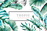 Tropic, Luxurious & Lush!