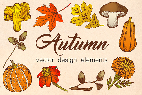 Autumn Vector Design Elements