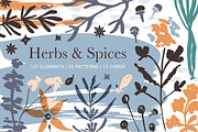 Herbs & Spices. Big graphic set