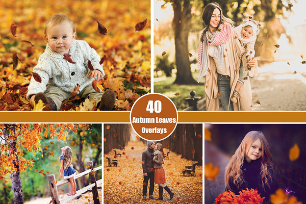 40 Autumn Leaves Overlays