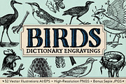 Dictionary Engravings Birds Vintage