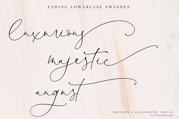 Antoinette//Modern Calligraphy №18 in Calligraphy Fonts - product preview 10