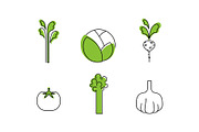 Fresh vegetables line icons set