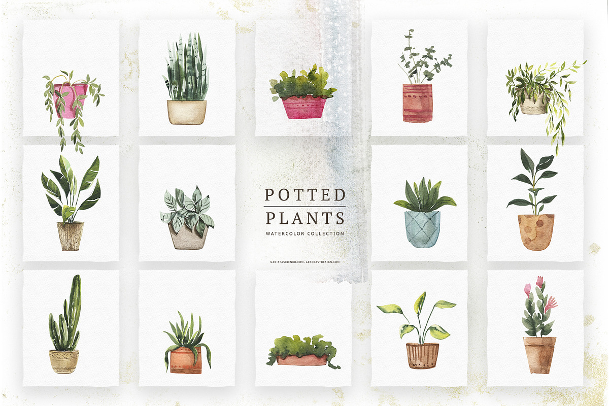 Watercolor Potted Plants in Illustrations - product preview 8