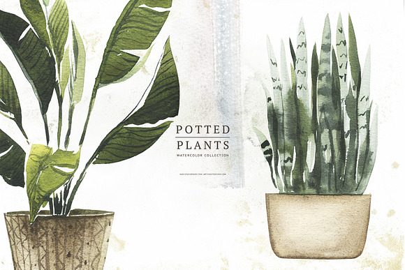 Watercolor Potted Plants in Illustrations - product preview 3