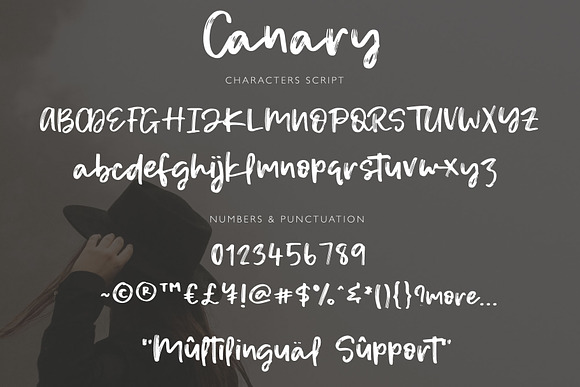 Canary | Handwritten Font in Script Fonts - product preview 6