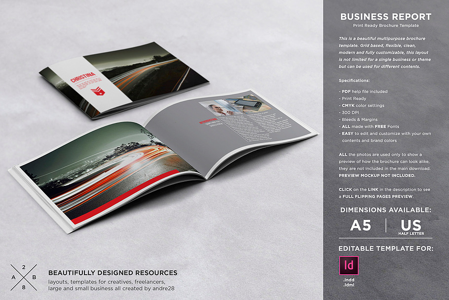 Business Brochure / Report Template in Brochure Templates - product preview 8
