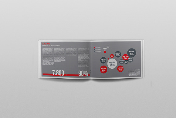 Business Brochure / Report Template in Brochure Templates - product preview 5