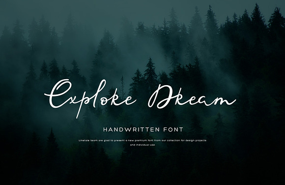 Sofity script font in Script Fonts - product preview 2