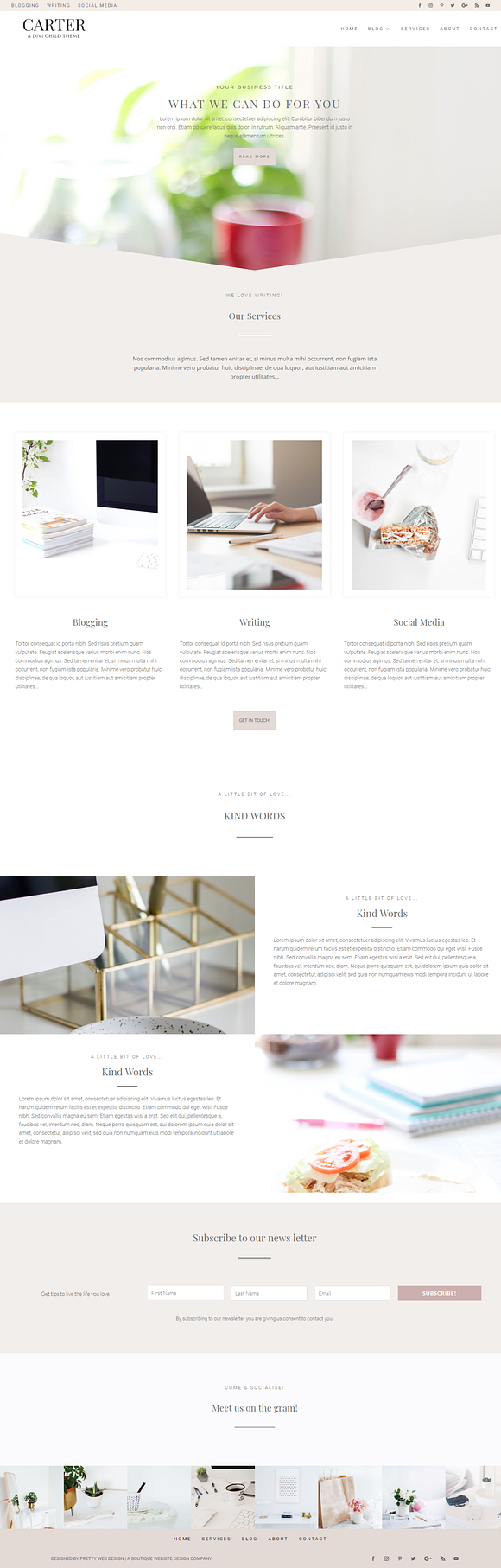 Carter - Divi Child WordPress Theme in WordPress Business Themes - product preview 3
