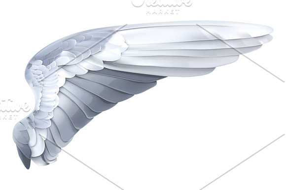 Black, white and gold angels wings in Illustrations - product preview 2