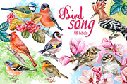Songbird collection