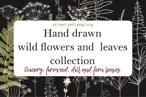 Wild flowers and leaves collection in Illustrations - product preview 4