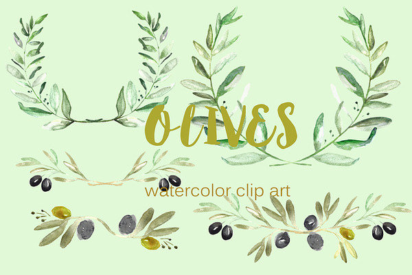 Olives. Watercolor illustrations
