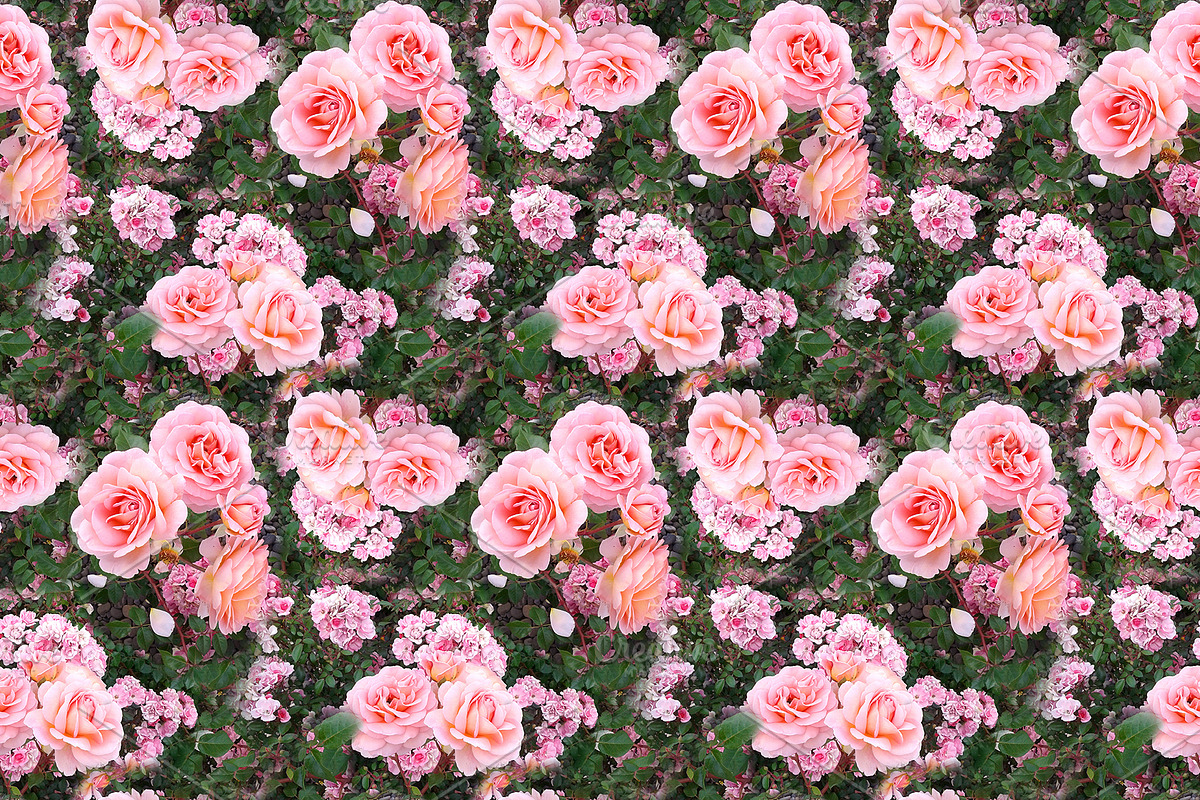 Rose flower seamless pattern texture in Patterns - product preview 8