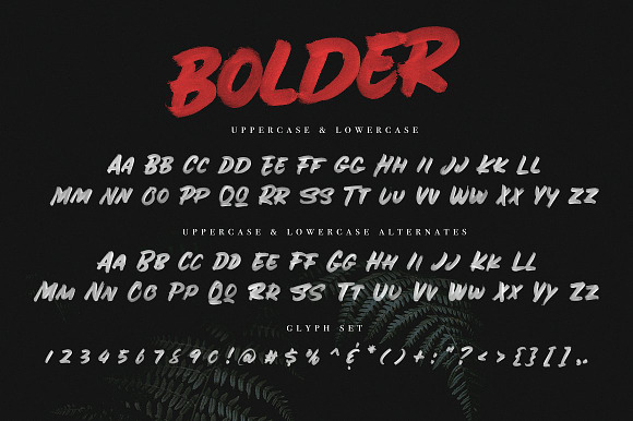 The Calligrapher's Font Bundle in Display Fonts - product preview 32
