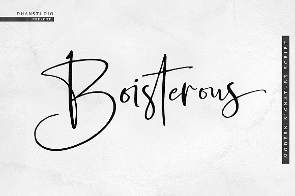 Boisterous Signature Font in Signature Fonts - product preview 18