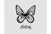 Butterfly. Vector illustration