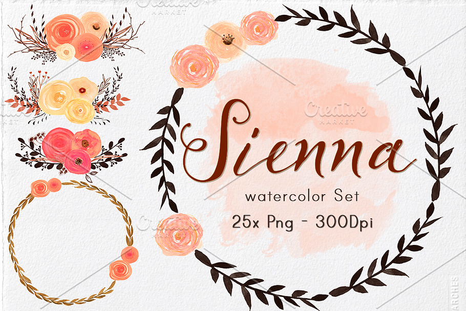 Watercolor Flowers & Elements