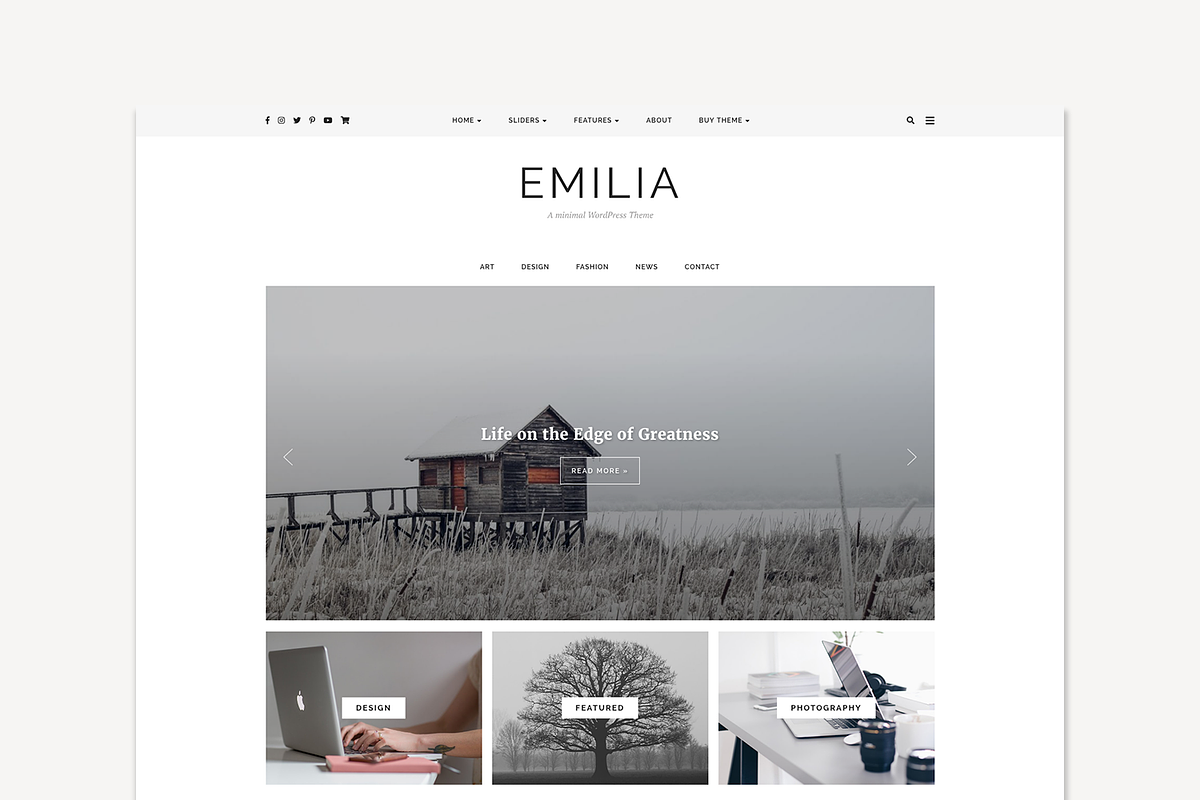 WordPress Theme, Responsive, Emilia in WordPress Blog Themes - product preview 8