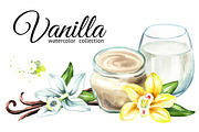 Vanilla. Watercolor collection