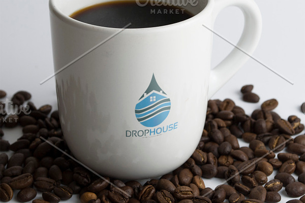 Drop House Logo