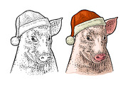 Pig head in Santa Claus hat. Vector