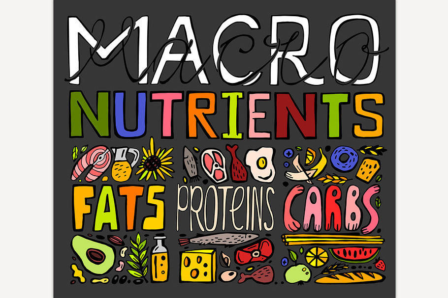 Macronutrients Lettering Image in Illustrations - product preview 8