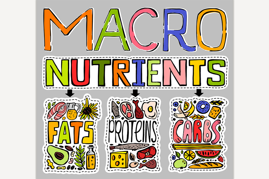 Main food groups in Illustrations - product preview 8