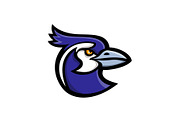 Black-throated Magpie-Jay Mascot