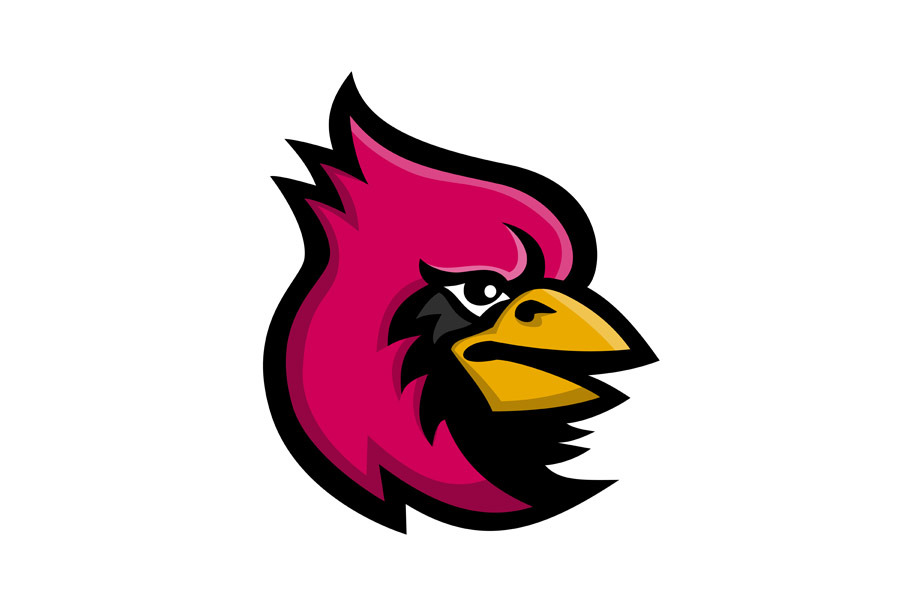 Cardinal Bird Head Mascot
