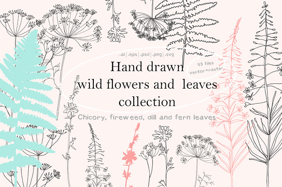 Wild flowers and leaves collection in Illustrations - product preview 5