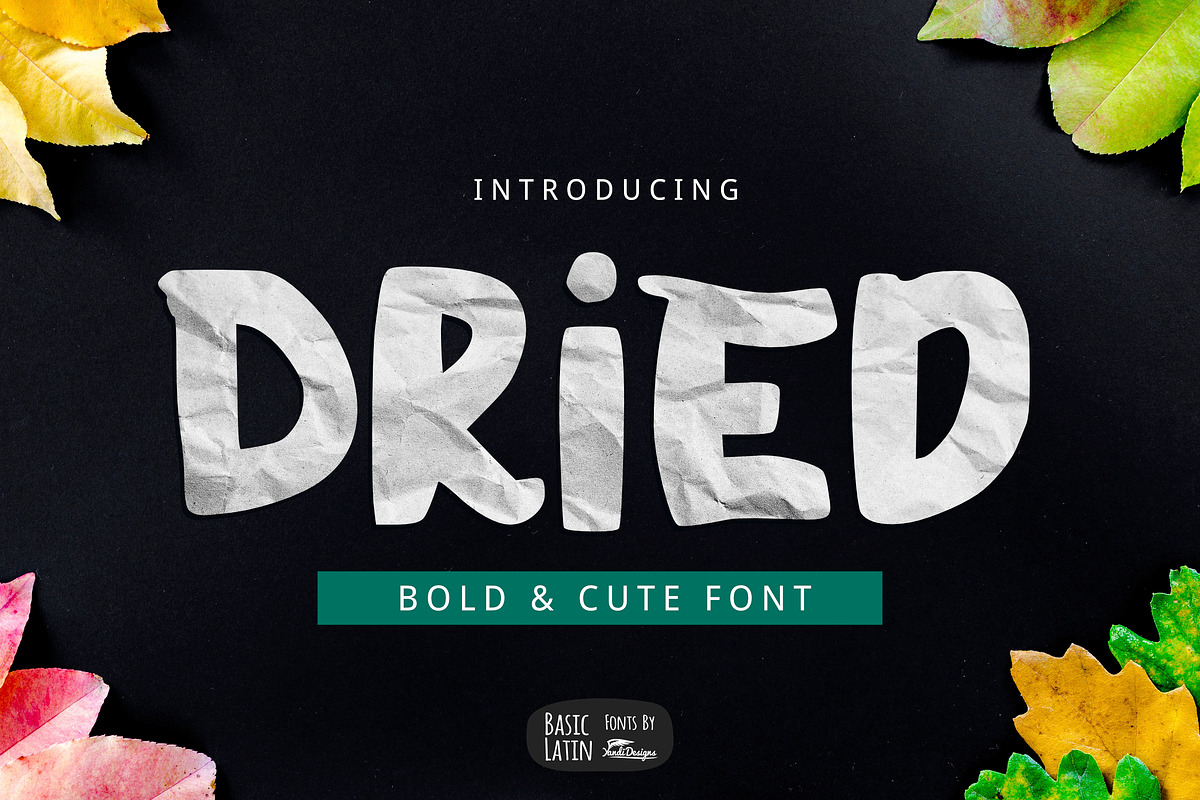 Dried Bold Font in Display Fonts - product preview 8