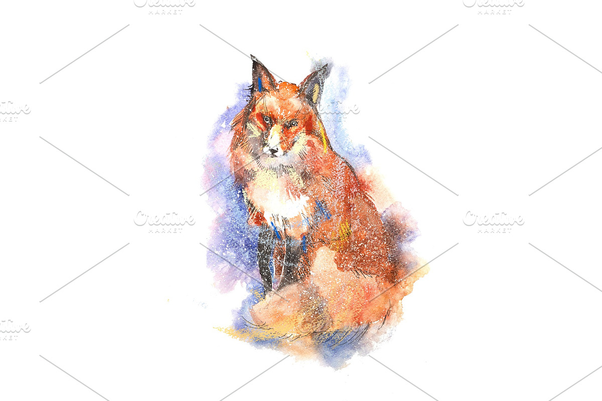 Winter portrait of red fox in Illustrations - product preview 8