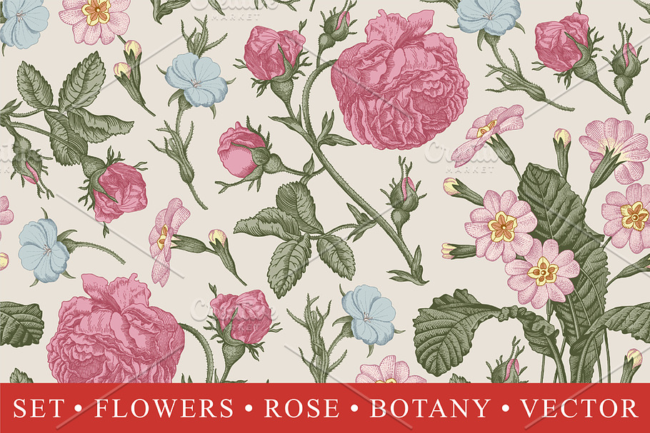 Set Seamless Flowers Rose Botany in Illustrations - product preview 8