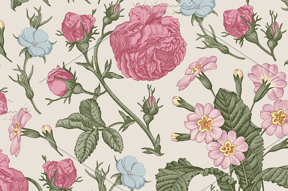 Set Seamless Flowers Rose Botany in Illustrations - product preview 1
