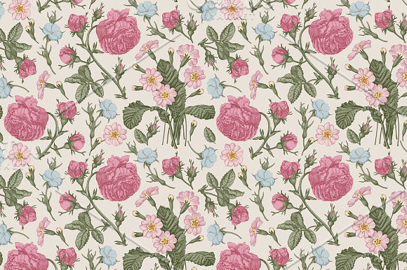Set Seamless Flowers Rose Botany in Illustrations - product preview 2