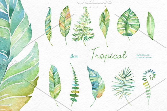 Tropical watercolor leaves in Objects - product preview 1
