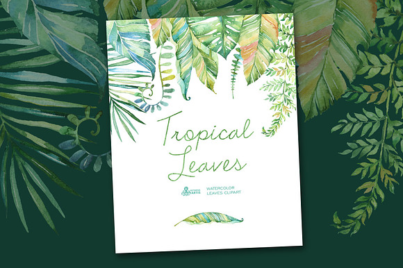 Tropical watercolor leaves in Objects - product preview 2