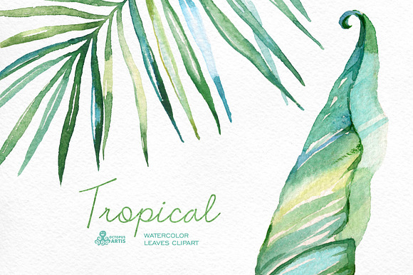 Tropical watercolor leaves in Objects - product preview 3
