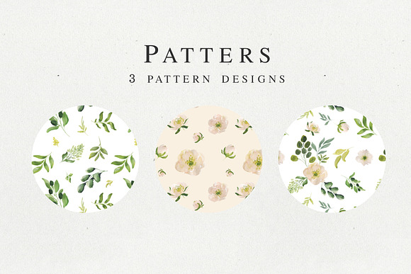 Magdalena watercolor floral set in Illustrations - product preview 5