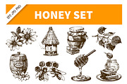 Honey Hand Drawn Vintage Set