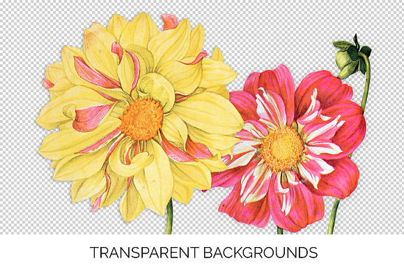 Watercolor Floral Bundle Volume 07 in Illustrations - product preview 1