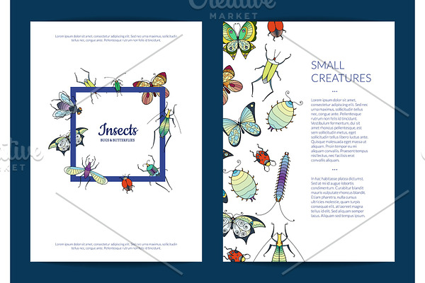 Vector hand drawn insects card or
